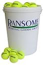 Ransome Bucket of 96 Tennis Balls,Green/White