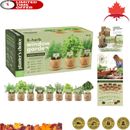 Premium Indoor Garden Kit - House Plants Seeds - Best Gift Ideas for Friend