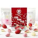 CARIANS Freeze Dried Strawberries Dipped in Belgian White and Ruby Snacks, Mother's Day Chocolate Gift Box, Elegant Holiday Gift, Premium Gourmet Chocolate Gift Basket, 2 Pack x 2.82 oz, 16 pc.