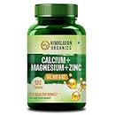 Himalayan Organics Calcium Magnesium Zinc Vitamin D3, B12 & K- 120 Vegetarian Tablets I Supplement for Women and Men, For Bone Health & Joint Support