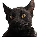Wopohy Costume di Halloween, Black Cat Face Covering, Halloween Black Cat Head Covering Costumi Lifelike Animal Full Head Covering Costumi Party Full Head Cosplay Prop for Masquerade Party