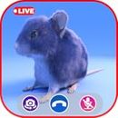 Call Video Mouse Simulator - Prank Call Apps