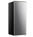 Hisense RC63C1GSE 6.3-cu ft Compact Refrigerator Stainless Steel Space-Saving Apartment Refrigerator Energy Star, Silver