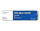 Western Digital 2TB WD Blue SA510 SATA Internal Solid State Drive SSD - SATA III 6 Gb/s, M.2 2280, Up to 560 MB/s - WDS200T3B0B