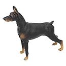 Solid Simulated Figurine Toy, Dog Figure Toy Dog Realistic Doberman Model Sculpture Puppy Doberman Pinscher Dog Statue for Science Educational Prop for Kids
