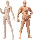 Body Kun - Manichino per artisti, testa a blocco, manichino articolato, per modellini di figura, maschile e femmina, set (colore della pelle)