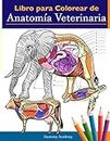 Libro para colorear de anatomía veterinaria: Libro de trabajo para colorear de autoevaluación de fisiología animal para estudiar y relajarse Un regalo ... estudiantes veterinarios e incluso adultos