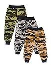 TINY TOON Multicolor Kids Joggers Pack of 3