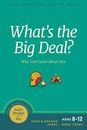 What's the Big Deal?: Why God Cares about Sex [God's Design for Sex]