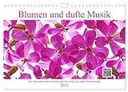 Blumen und dufte Musik (Wandkalender 2025 DIN A4 quer), CALVENDO Monatskalender: Mit erholsamer Klaviermusik zum Download auf jedem Kalenderblatt