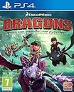 BANDAI NAMCO Entertainment Dragons Dawn of New Riders, PS4 videogioco Basic PlayStation 4