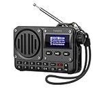 Pagaria Grenade 5 Watts Pocket FM Radio with Bluetooth, Tf Card/USB Speaker – LCD Display with Song Name, Folder Selection, Type C Charging, Voice Recording & More, Black