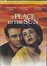 DKD A Place in The Sun DVD