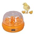 Haofy 15 W Mini-Inkubator für 6 Eier mit Automatischem Eierwender, Inkubator mit Digitalem Bildschirm Zum Schlüpfen von Hühner-Entenwachteln (EU-Stecker 100-240 V)