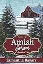 Amish Seasons Series: Books 4-6