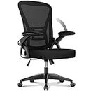 naspaluro Office Chair Ergonomic Desk with 90° Flip-up Armrest Lumbar Support, Height Adjustable Chair, Executive Swivel Computer Padded Seat Cushion for Home/Office