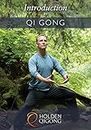 Introduction to Qigong Exercise for Beginners with Lee Holden DVD (YMAA) **ALL NEW HD 2017** BESTSELLER