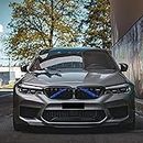 DWVV - Inserti Griglia Anteriore，Inserti per griglia per BMW 2 3 Series， F20 F30 2012-2018, strisce per griglia M-Performance per 320i 328i 330i 335i 428i (F20 F30, blu)