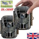 2K 36MP Trail Camera Game Camera Motion Activated Trail Cam Hunting Cam Wildlife