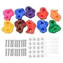 Jiakalamo Rock Climbing Holds for Kids, 10pcs Climbing Grips Set with Mounting Screws and Hardware, Multicoloured Wall Climbing Stones for Indoor Outdoor Playground Kids Adult Use