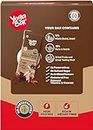 Yogabar Energy Bars Chocolate Chunk | Multigrain Daily Protein Snack | High Energy & Nutrition Bars | 8g Protein & 7g Fibre Protein bars | Pack of 10 x 38g Energy Bars | No Preservatives