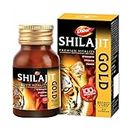Dabur Shilajit Gold - 20 Capsules | 100% Ayurvedic Capsules for Strength , Stamina and Power | Premium Ayurvedic Supplement | For Men