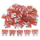 FymuSing (55 pcs) 40 Amp Standard Blade Fuse, 40A Automotive Fuse for Car Truck