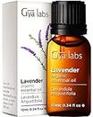 Gya Labs Organic Lavender Essential Oil for Diffuser & Skin - Therapeutic Grade Calming Organic Lavender Oil for Aromatherapy & Relaxation - Lavender Oil Organic for Hair Growth (0.34 fl oz)