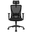 Durrafy Office Chair Ergonomic, Office Desk Chair with Adjustable Headrest, Armrests, Lumbar Support Height Adjustable, 90°-130° Rocking, Executive Chair Loadable 150KG