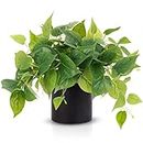 JPSOR Artificial Indoor Plants for Home Decor, 12 inches Pothos in Black Ceramic Pot with Iron Wire, 1 Count