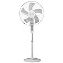 IBELL CHROME10 Pedestal Fan with Timer, 5 Leaf, 406mm, High Speed Motor (White)