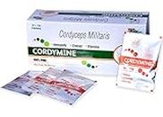 Cordymine Cordyceps Militaris Keedajadi, Strip Form Dry Mushroom Sachets for Energy, Stamina and Immunity Booster, Helps in Cough and Supports Liver function (30 x 1 gm : 30 Sachets)
