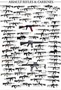 Guns-Military Rifles Charts Fabric Cloth Rolled Wall Poster Print -- Size: (36" x 24" / 20" x 13")