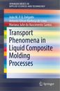 Transport Phenomena in Liquid Composite Molding Processes Delgado (u. a.) Buch x