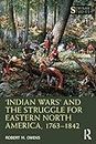 ‘Indian Wars’ and the Struggle for Eastern North America, 1763–1842 (Seminar Studies)