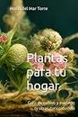 Plantas para tu hogar: Guía de cultivo y cuidado (y otras curiosidades)