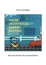 Ciechi incontro al nostro destino: Racconti semiseri di un automobilista a Milano (Italian Edition)