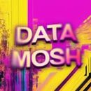 Mosh It Up: Datamoshing, Glitch & Compression Camera Video Effect