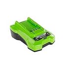 Greenworks 40V 2A Battery Charger - 40V Charger for Garden and Power Tools, Charges 2Ah Battery in 60 Minutes, Greenworks Battery Charger, Compatible with All 40V Batteries - G40C
