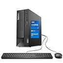 LENOVO ThinkCentre 50s Small Form Factor Business Desktop, Intel Core i7-12700K, 32GB RAM, 1TB SSD, DP, VGA, HDMI, Type C, SD Card Reader, Wired KB & Mouse, Windows 11 Pro, Black