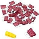 Bolatus 20Pcs Car Fuses 40A Standard Blade Fuses Automotive Replacement Fuse for Caravan Motorcycle Truck RV + Fuse Puller