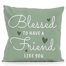 My Friend Pillow Case,Friends Throw Pillow Covers 18X18,Friendship Gifts For Woman,Thank You Gifts For Friends,Birthday Gifts For Friends,Blessed To Have A Friend Like You Pillow Cover(Sage green)