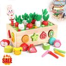 Montessori Toys for 1 2 3 Year Old Boys Girls Wooden Sorting Stacking Toys Kids