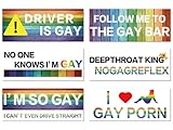 6 Pcs Magnetic Bumper Stickers Funny Stickers for Cars Magnetic Bumper Decals Rainbow Bumper Stickers Gay Prank Gay Stickers Prank Car Stickers for Truck Car Vehicle Refrigerator