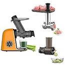 Qisebin Slow Juicer Masticating Juicer Machine, Juicers Whole Fruit and Vegetable with Dual-Stage Quiet Motor & Reverse Function,Cold Press Juicer Creates Fresh Healthy Vegetable and Fruit Juicy, Gray