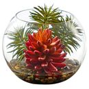 Primrue Artificial Cactus Succulent Plant in Terrarium Silk/Glass/Plastic | 6 H x 8 W x 8 D in | Wayfair 72E07BF2BB0D42BD818795C1D30F9DD8