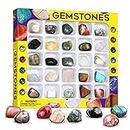 XXTOYS Gemstones Kit for Kid - Rocks Collection 25 Crystal Mineral Natural Box - STEM Science & Educational Toys Make Great Kids Activities