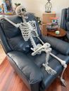 170cm Giant Full Life Size Human Skeleton Model Horror Bone Posable Halloween