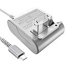 Ds Lite Charger, Flip Travel Charger Charger Power Supply AC Adapter Wall Charger Power Cord 5.2V 450mA for Nintendo DS Lite (Grey)