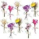 10 Pack Mini Dried Babys Breath Flowers Bouquet Natural Gypsophila Dried Flower with Stem Dried Embossing Flower Bundles Artificial Flower Dried Floral Arrangement for Vase, DIY, Photo Prop